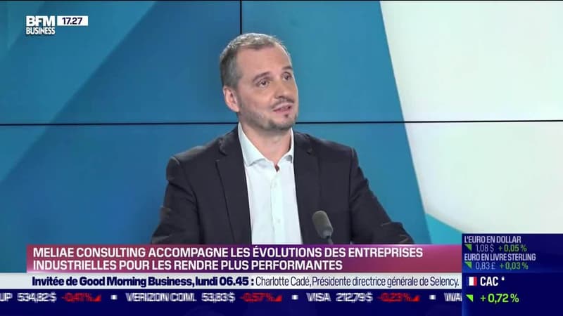 Stéphane Lescure (Meliae Consulting) : Meliae Consulting accompagne les évolutions des entreprises industrielles pour les rendre plus performantes - 16/04