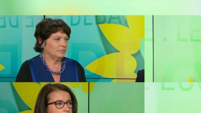 Les candidats à la primaire écologiste se sont opposés lors d'un débat jeudi soir.