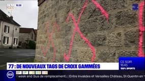 De nouvelles croix gammées en Seine-et-Marne, le maire d'une commune touchée se dit "scandalisé"
