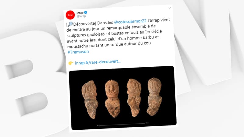 Les quatre bustes gaulois découverts près de Saint-Brieuc.
