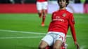 Joao Felix