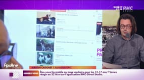 Bien-être animal: le gouvernement veut encadrer strictement la vente en ligne