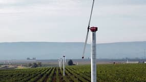 Les éoliennes anti-gel protègent les vignes en rabattant l'air chaud situésau niveau de leur hélice, vers le sol plus froid.