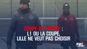 Coupe de France : Entre la L1 et la Coupe, Lille ne veut pas choisir