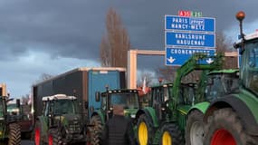 Les agriculteurs alsaciens bloquent la M35 depuis ce mercredi 24 janvier.