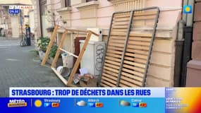 Strasbourg: face à la multiplication des dépôts sauvages, la maire veut augmenter les amendes