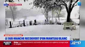 "On galère un peu": le témoignage d'une éleveuse de chèvres dans la Manche, avec une dizaine de centimètres de neige relevés