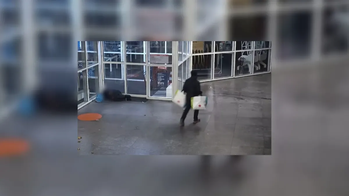 placeholder video