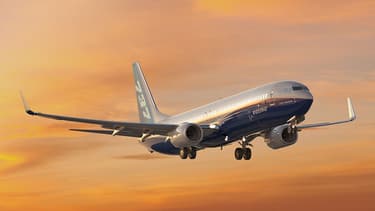 La commande porte sur 10 737-800