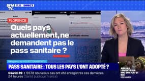 Quels pays ne demandent pas le pass sanitaire ? BFMTV répond à vos questions