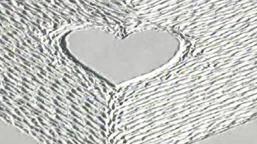 Un Américian a affronté le froid pour faire une déclaration très romantique à sa Valentine
