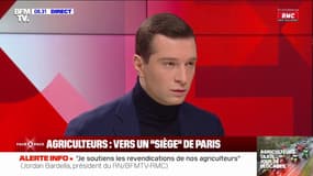 Colère des agriculteurs: "Je condamne toutes formes de violences", réagit Jordan Bardella