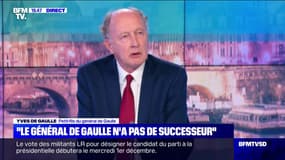 "Quand on essaye de nous faire croire que Pétain et de Gaulle ce sont les deux faces de la même pièce en 1940, c'est une immense ânerie": Le petit-fils du général de Gaulle répond à Éric Zemmour