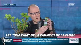 Anthony Morel: découvrez le Shazam de la faune et de la flore