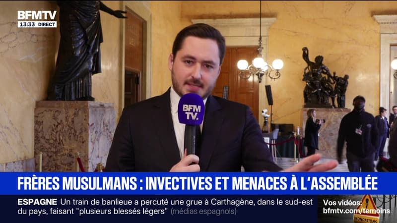 Frères musulmans: nombreuses invectives et menaces entre les députés RN et LFI lors des débats à l'Assemblée nationale