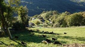 Un petit village de Savoie ensoleillé. (Photo d'illustration)