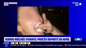 Marseille: le procès de l'étudiant qui a mâché une souris vivante reporté en avril