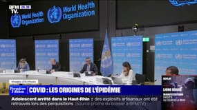 Covid-19: comment évoluent les enquêtes sur les origines de l'épidémie?