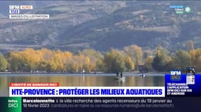 Pêche dans les Alpes-de-Haute-Provence: comment préserver les cours d'eau?