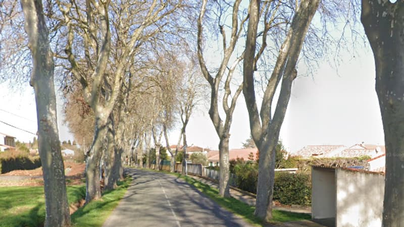 Haute-Garonne: deux frères retrouvent un bébé abandonné dans un fossé