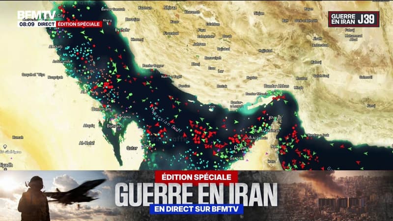 Guerre au Moyen-Orient: le Conseil de sécurité de l'ONU doit voter un projet de résolution "édulcoré" pour tenter de débloquer le détroit d'Ormuz