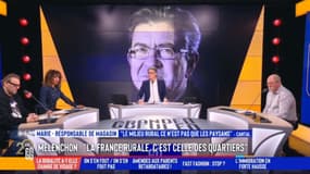 Le cri du cœur d'une auditrice face aux propos de Jean-Luc Mélenchon sur la ruralité 
