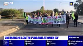 Une marche contre l'urbanisation en Ile-de-France