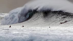 Un jeune surfeur de 23 ans a été grièvement blessé par un requin, en Australie. Photo d'illustration.