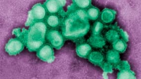 L'Organisation mondiale de la Santé (OMS), accusée d'avoir dramatisé l'impact potentiel de la grippe A(H1N1), a reconnu lundi des failles dans sa gestion de la pandémie, à l'ouverture de la réunion d'un comité d'experts indépendants sur le dossier. /Photo