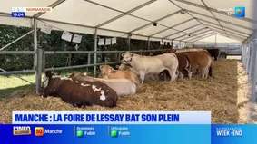 Manche: la foire de Lessay bat son plein