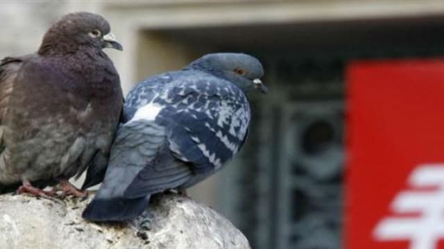 Un homme et son fils ont été radiés d'une agence de la Caisse d'Epargne de Rennes.