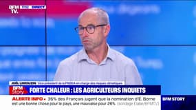 Les agriculteurs ont été "pris de vitesse" par la vague de chaleur, affirme le vice-président de la FNSEA