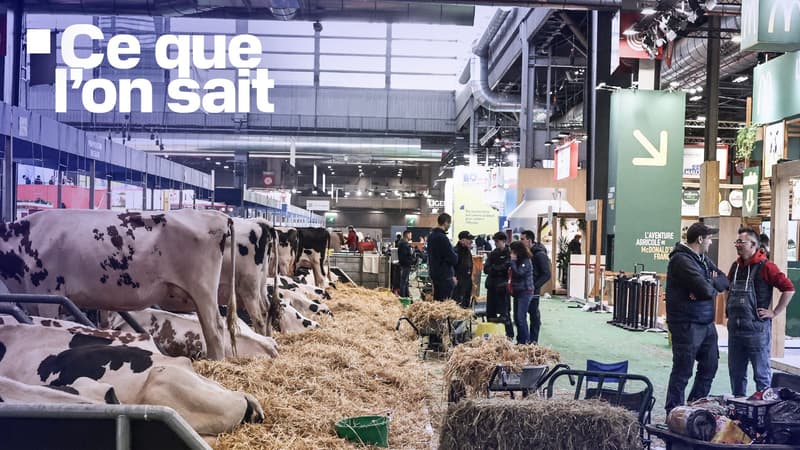 Un agriculteur conduit un tracteur à la veille de l'ouverture du 61e Salon international de l'agriculture à Paris, le 21 février 2025.
