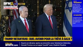 Donald Trump critique l'attaque ukrainienne présumée contre la résidence de Vladimir Poutine