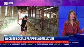 Le Off de Tcherkoff -   La crise sociale frappe l’agriculture