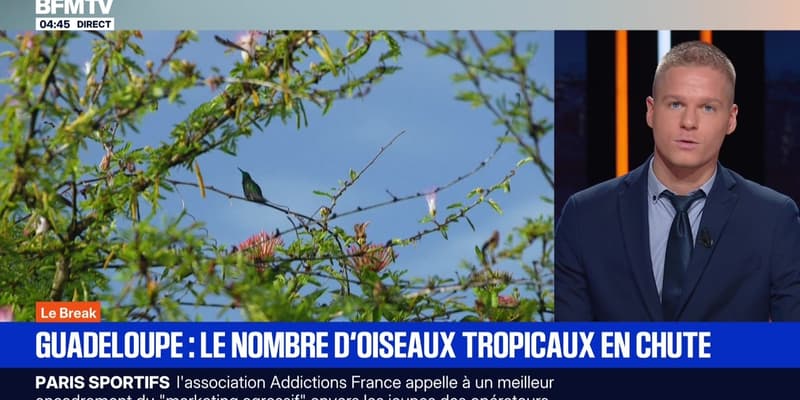 Le break du 16 septembre