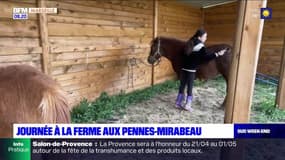 Passions Provence : Journée à la ferme aux pennes-mirabeau