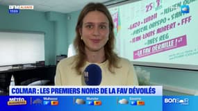 Colmar: les premières têtes d'affiche de la foire aux vins dévoilées