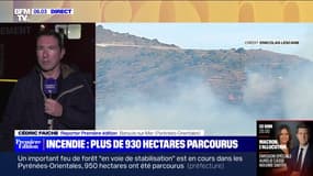 Incendie dans les Pyrénées-Orientales: le feu est désormais "maîtrisé"