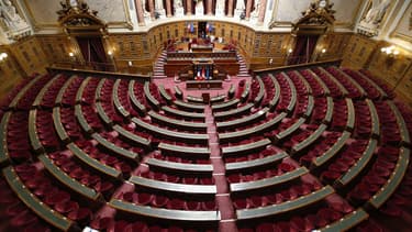 L'Afdel, association qui regroupe 350 entreprises du logiciel et de l'Internet, estime que ce texte nuit à l'innovation en stigmatisant les entreprises du numérique.