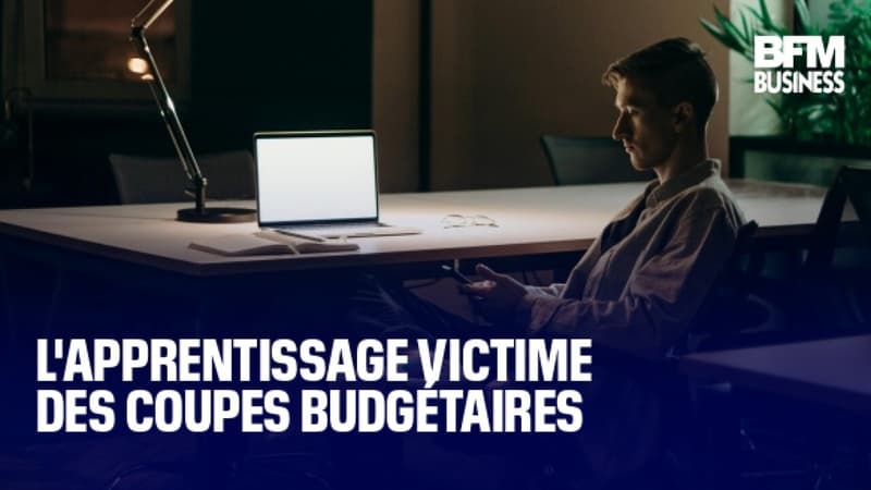 L'apprentissage victime des coupes budgétaires