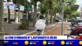 Lyon: les travaux de la voie lyonnaise numéro 1 sont terminés 