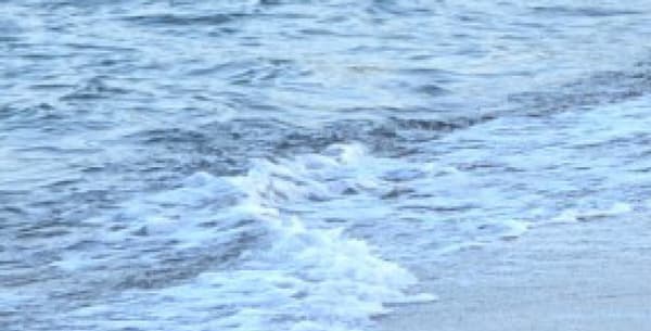 Un officier de police turc devant le corps d'Aylan Kurdi, petit réfugié syrien retrouvé mort sur une plage de Bodrum, au sud de la Turquie, le 2 septembre 2015, après le naufrage d'une embarcation. Un officier de police turc devant le corps d'Aylan Kurdi, petit réfugié syrien retrouvé mort sur une plage de Bodrum, au sud de la Turquie, le 2 septembre 2015, après le naufrage d'une embarcation.