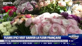 Impact : Fleurs d'Ici veut sauver la fleur française, par Cyrielle Hariel - 02/02