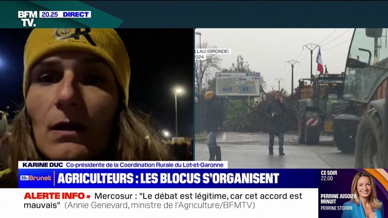 Karine Duc (Coordination Rurale du Lot-et-Garonne):Nous sommes sur le port de Bordeaux qui est entièrement bloqué pour dénoncer les importations de céréales à outrance