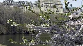 Central Park, à New York. Le conseil municipal de la ville américaine a adopté mercredi une mesure interdisant de fumer dans les parcs, sur les plages et dans les lieux publics de plein air. /Photo d'archives/REUTERS/Jeff Christensen