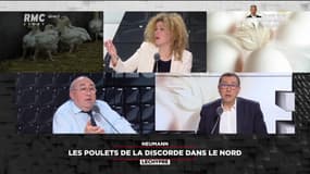 Un projet de poulailler géant dans le Nord - 30/03