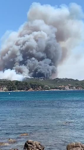 Incendie à la Seyne sur mer - Témoins BFMTV