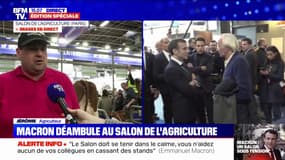 "S'il y a un bain de foule on ne pourra pas gérer la chose" : un agriculteur s'exprime sur la situation des animaux face aux mouvements de foule