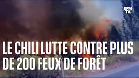 Au Chili, pompiers et habitants combattent plus de 200 feux de forêt